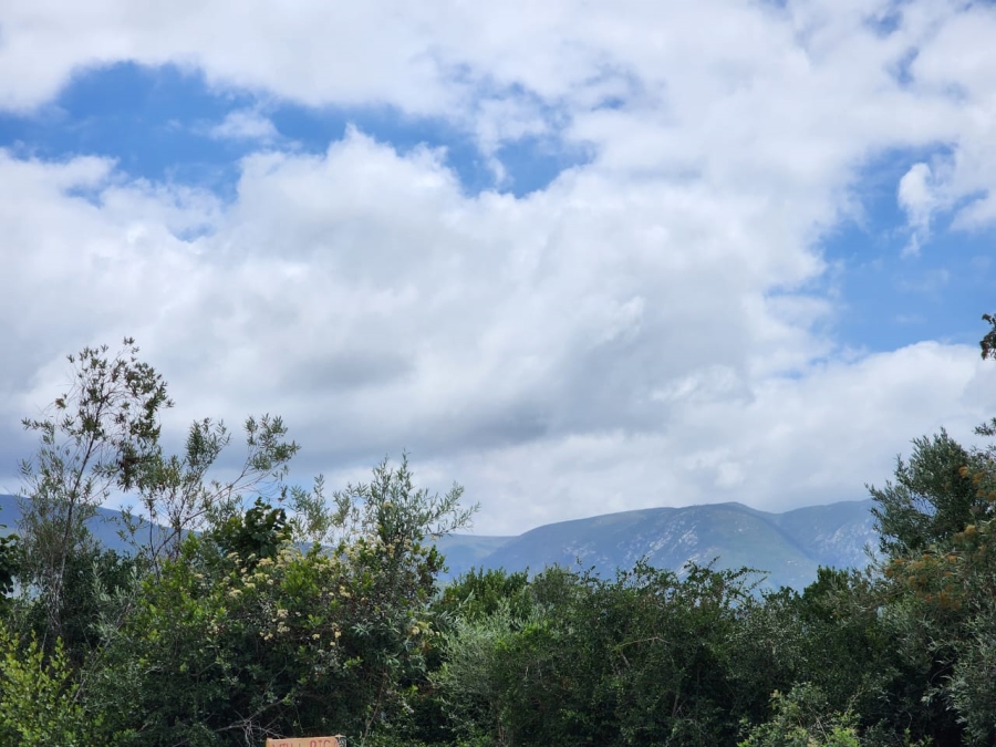 Commercial Property for Sale in Wilderness Heights Western Cape